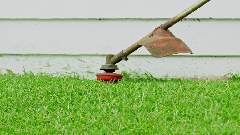 Lawn Watering Services in Lawai, HI